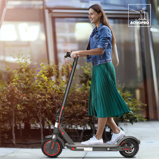 Electric Scooter 350W