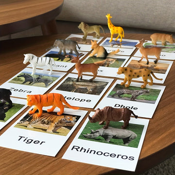 Montessori Animal Matching Card set